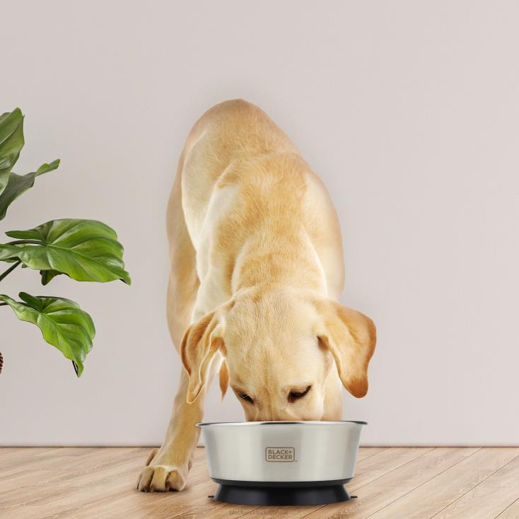 BLACK+DECKER N20D244tigela para animais de estimação com ventosa 8,26 pol. casa e estilo de vida